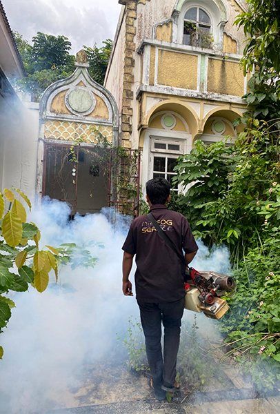 Pest Control & Fumigation